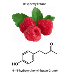 Ketone raspberry.
Chemistry and Life. The smell of raspberry in the illustration. An image of a...