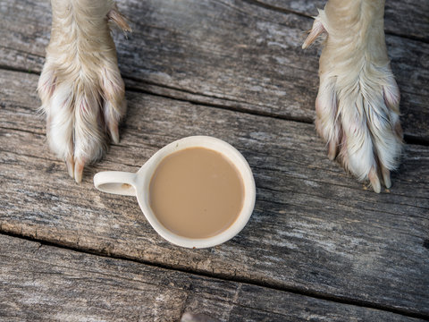 Dog Legs And Coffee