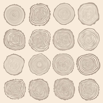 12,565 BEST Tree Rings IMAGES, STOCK PHOTOS & VECTORS | Adobe Stock