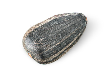 Single of sunflower seed rotated
