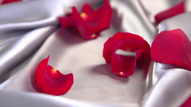 Red rose petals falling down on silk background. Slow motion. 4K UHD video footage