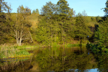 rzeka Rospoda, podlasie, Polska