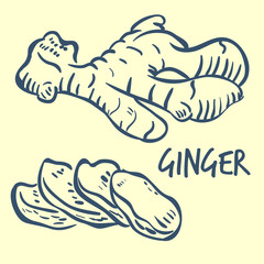 ginger line art vector icon