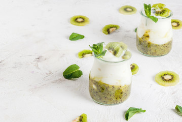Fresh homemade organic Greek yogurt with kiwi puree, pieces of kiwi and mint. On a white stone table, with mint leaves and fruit slices. Copy space