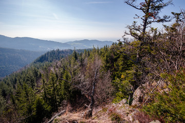 Bühlertal Gertelbach Wasserfälle Herta Hütte