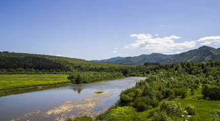 river at the Carpathian forest