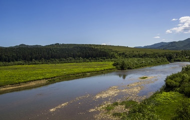 river at the Carpathian forest