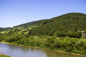 Fototapeta na wymiar river at the Carpathian forest