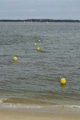 sea shoreline and yellow buoys