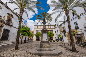 Fototapeta na wymiar Streets and architecture in Jerez de la Frontera,Spain