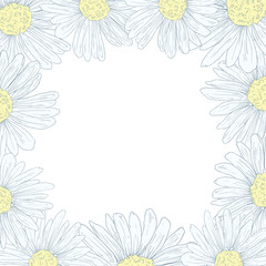 Daisy border background