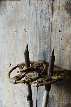 Old Vintage Ski Poles, Wooden Background