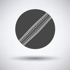 Cricket ball icon