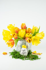 Ein Osterei mit einem Küken und den englischen Worten Happy Easter, Moos und einem Strauß rot gelbe Tulpen, weißer Hintergrund