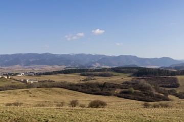 Fototapeta premium Meadow with trees and views to mountains. Slovakia