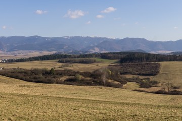 Obraz premium Meadow with trees and views to mountains. Slovakia