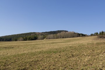 Obraz premium Meadow with trees and views to mountains. Slovakia