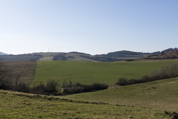 Meadow with trees and views to mountains. Slovakia