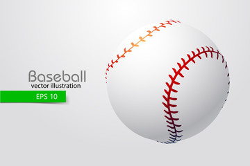 silhouette of a baseball ball. Vector illustration