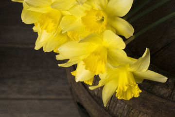 Yellow daffodils on a wooden background. Easter greeting card. 