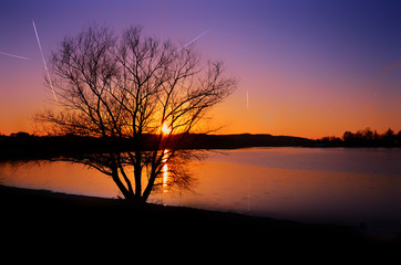 Baumsilhouette, Sonnenuntergang am See 