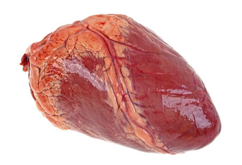 Raw beef heart isolated on white background