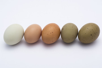 colored eggs in a row