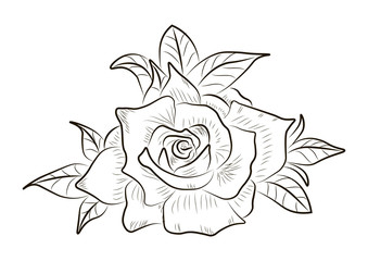 Vector abstract flowers isolated on white background