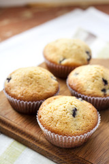 Homemade muffins with blueberries on a wooden board
