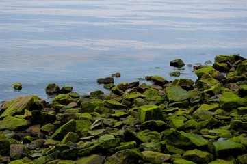 Mossy Rocks on Sandy Hook beach, Jersey Shore