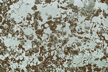 Marble texture background / white gray marble pattern texture abstract background