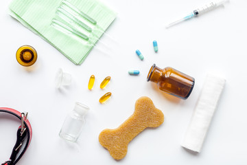 concept pets care treatment on white background top view