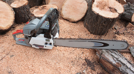 chainsaw and trees
