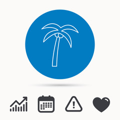 Fototapeta na wymiar Palm tree with coconuts icon. Travel or vacation symbol. Nature environment sign. Calendar, attention sign and growth chart. Button with web icon. Vector