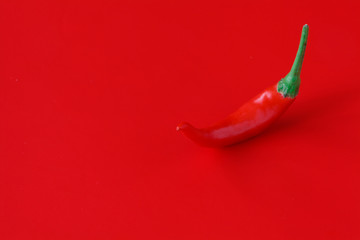 Fresh chili pepper on plain red background