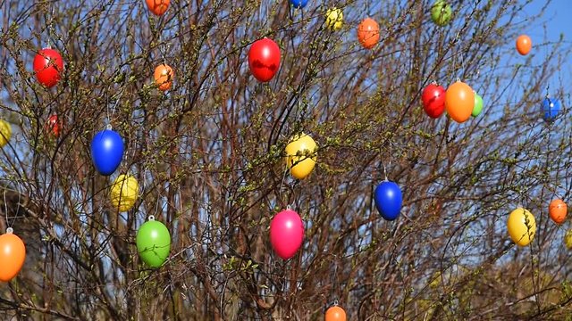 Strauch mit bunten Ostereiern, die sich im Wind leicht bewegen - Video Clip