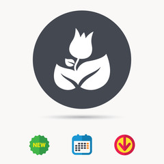 Rose flower icon. Florist plant with leaf symbol. Calendar, download arrow and new tag signs. Colored flat web icons. Vector