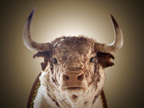 Cabeza de toro