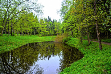Fototapeta na wymiar Idyllic landscape of forest and lakes. The view of nature summer calm and beautiful. Panorama of green trees with clean water.