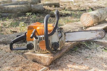 chainsaw on the stump, gear cutting firewood in forest with a professional chainsaw,chainsaw sawing wood,chainsaw and many tree trunks,Equipment of carpentry,selective focus