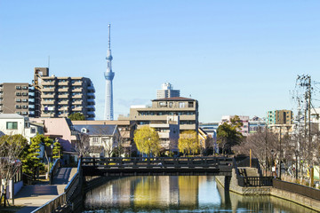 川と橋とスカイツリー、電波塔