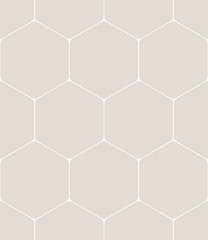 geometric hexagon minimal grid graphic pattern background