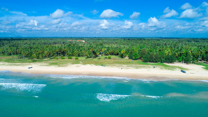  beach with sea and palm taken from drone
