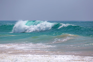 Beautiful sea wave