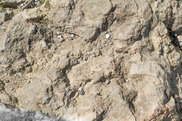 Texture of a Volcanic rock