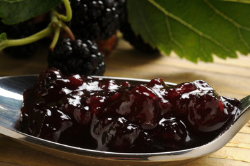 Morus 뽕나무속 Maulbeeren Morâr