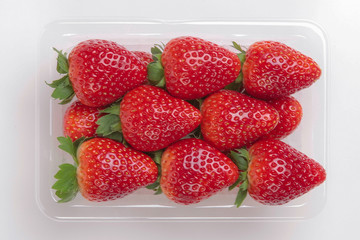 とちおとめパック