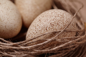 Naklejka na ściany i meble Happy Easter. Background with natural eggs in the nest