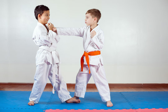 Two boys demonstrate martial arts working together