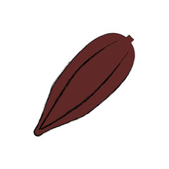 Cocoa chocolate bean icon vector illustration graphic design